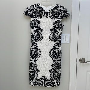 Tadashi Shoji Lace Sheath Dress, Size 4